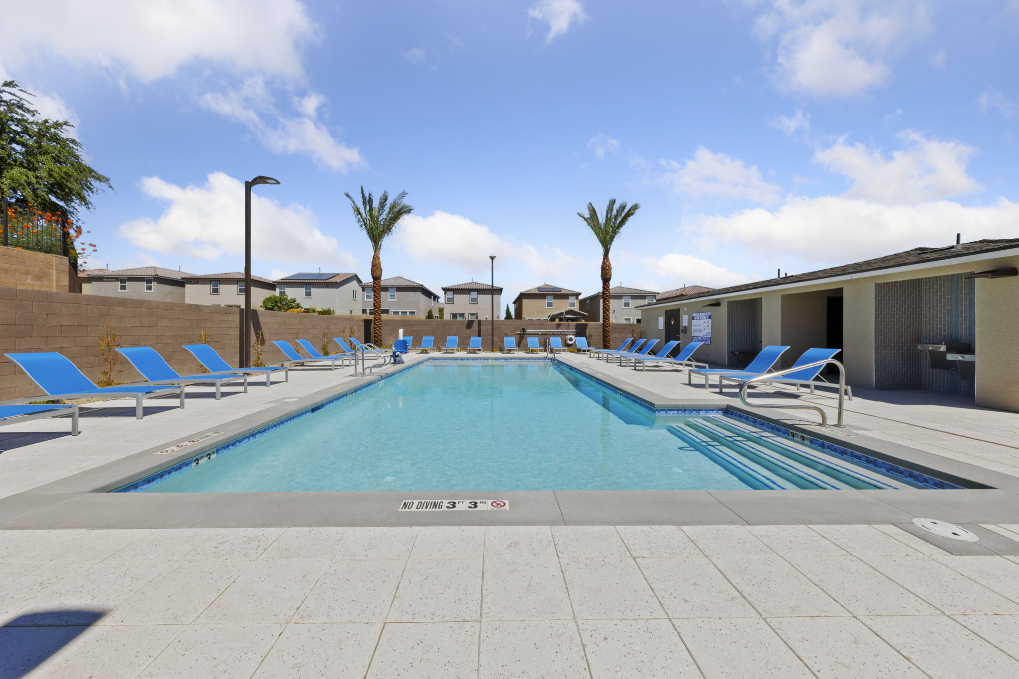 Sparkling rectangular community swimming pool surrounded by bright blue lounge chairs and palm trees at the Solaris new home community.